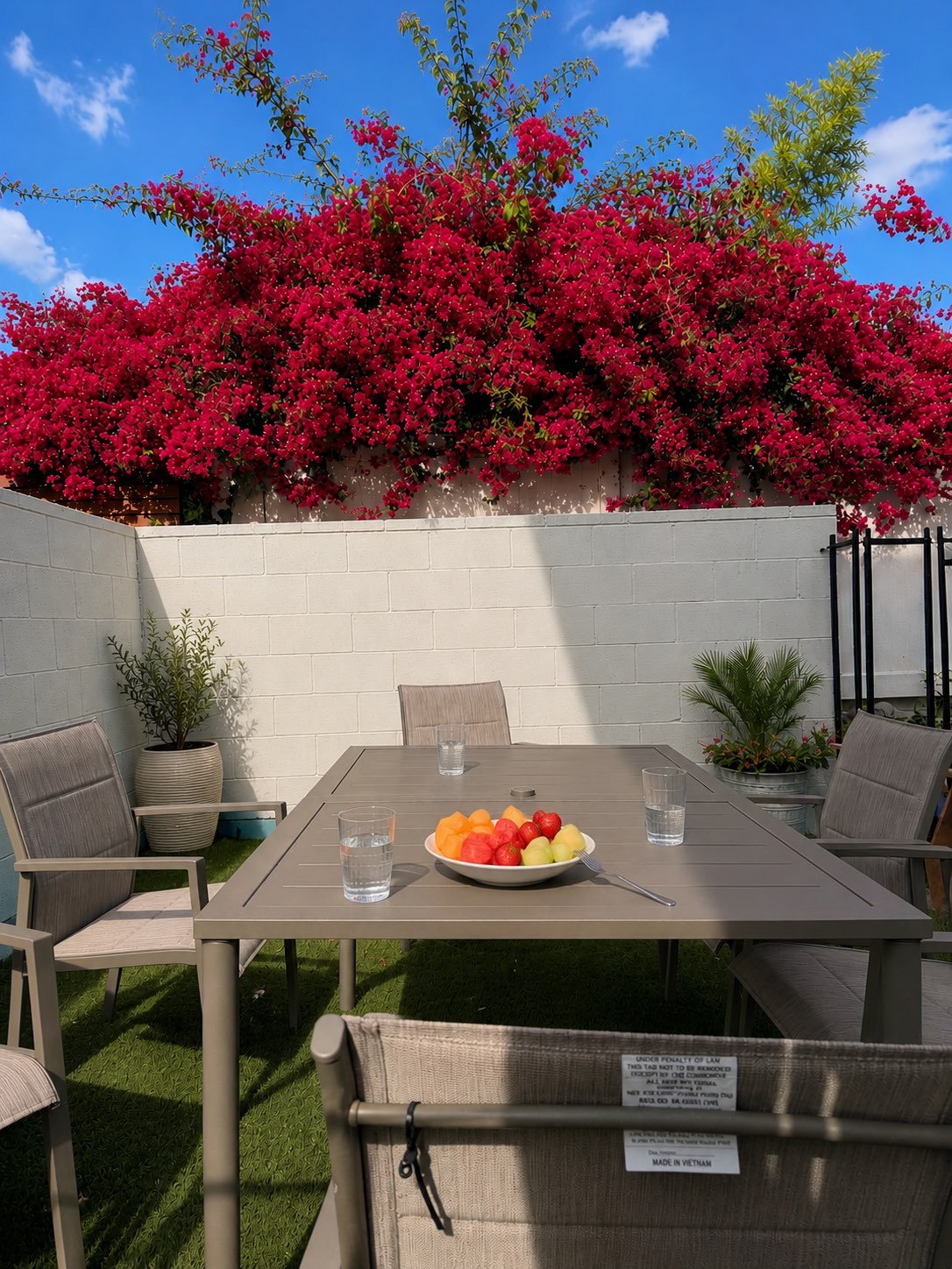 Backyard patio dining table beneath blooming pink bougainvillea